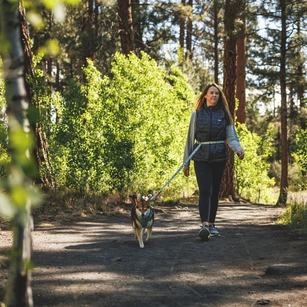 Leashes