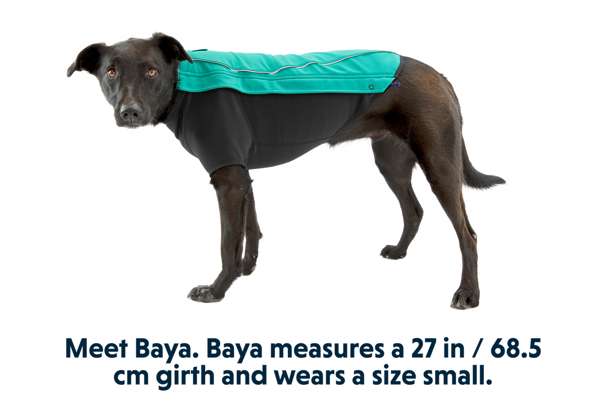 Outdoor Cloud Chaser Dog Jacket