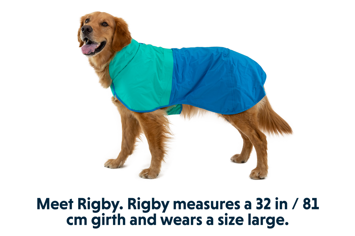 Outdoor Sun Shower Dog Raincoat