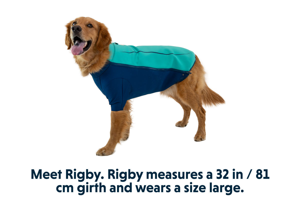 Outdoor Undercoat Dog Water Jacket