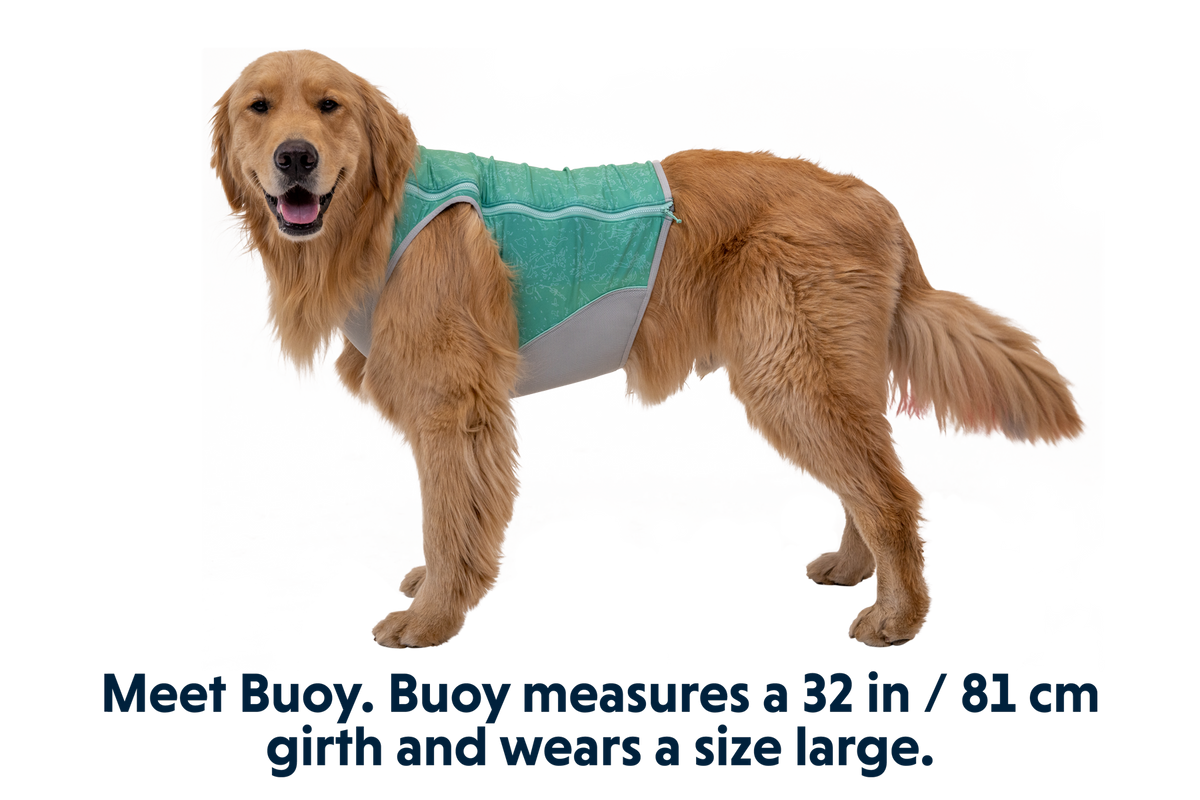 Outdoor Swamp Cooler Zip Cooling Dog Vest