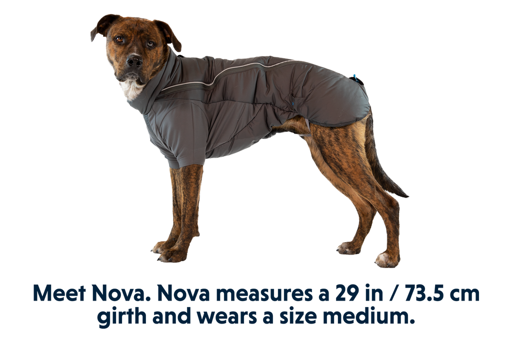 Outdoor Furness Dog Jacket