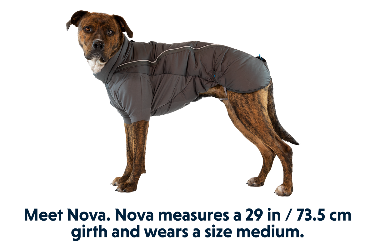 Outdoor Furness Dog Jacket