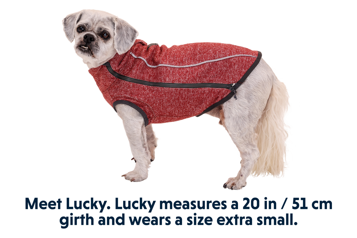 Outdoor Hemp Hound Dog Sweater