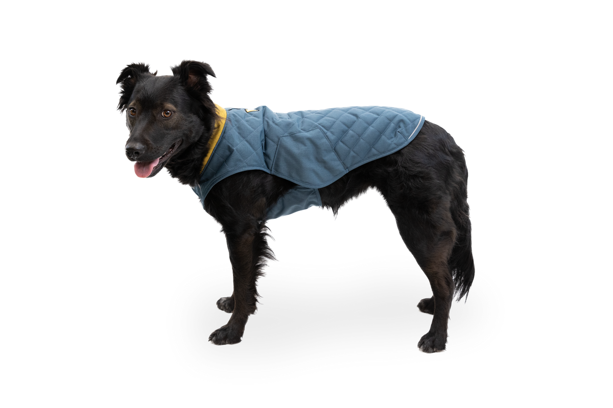 Outdoor Stumptown Insulated Vest