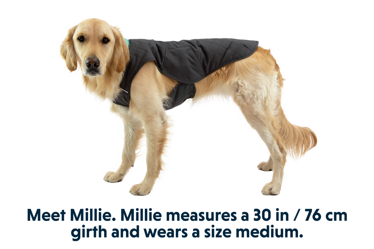 Outdoor Stumptown Insulated Vest