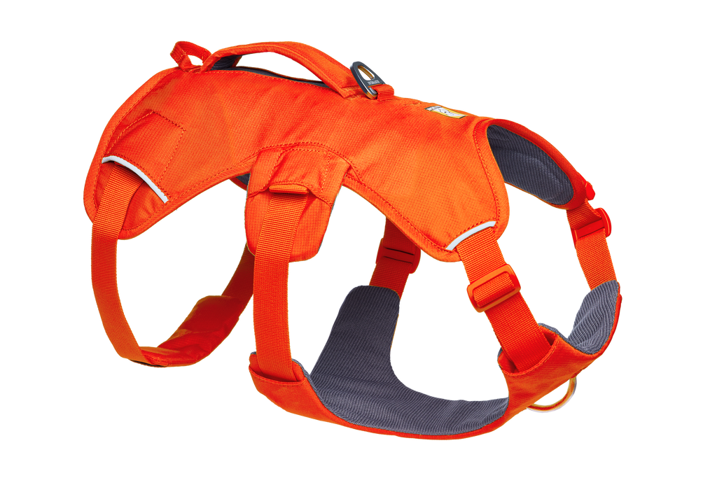 Outdoor Web Master Dog Harness with Handle