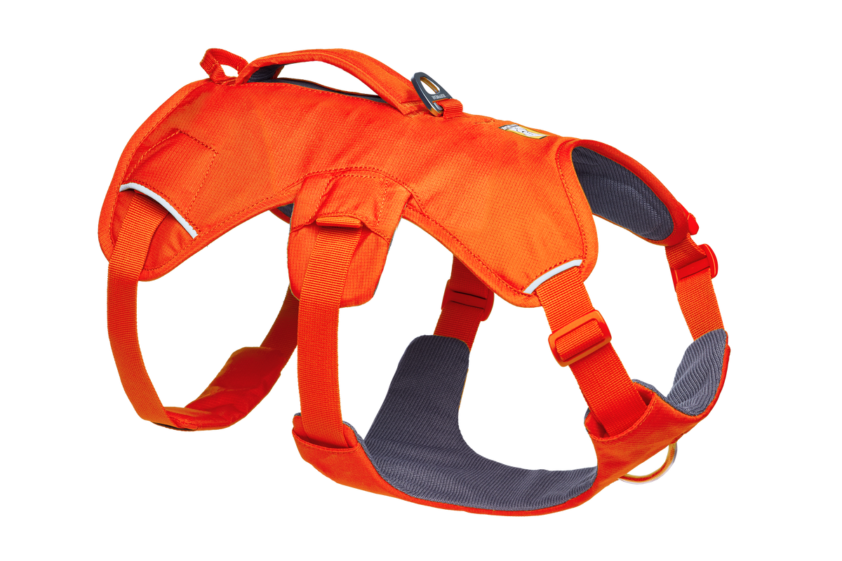 Outdoor Web Master Dog Harness with Handle