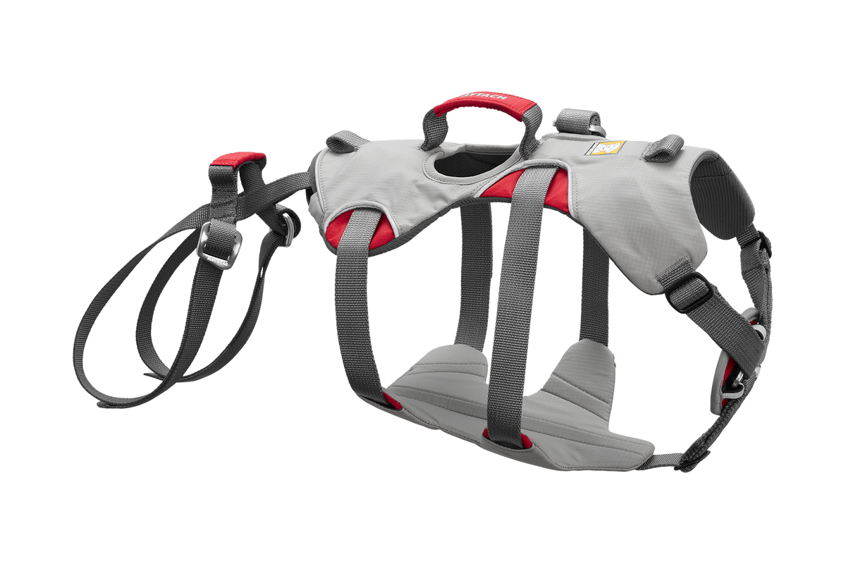 Outdoor Doubleback Full Body Dog Harness