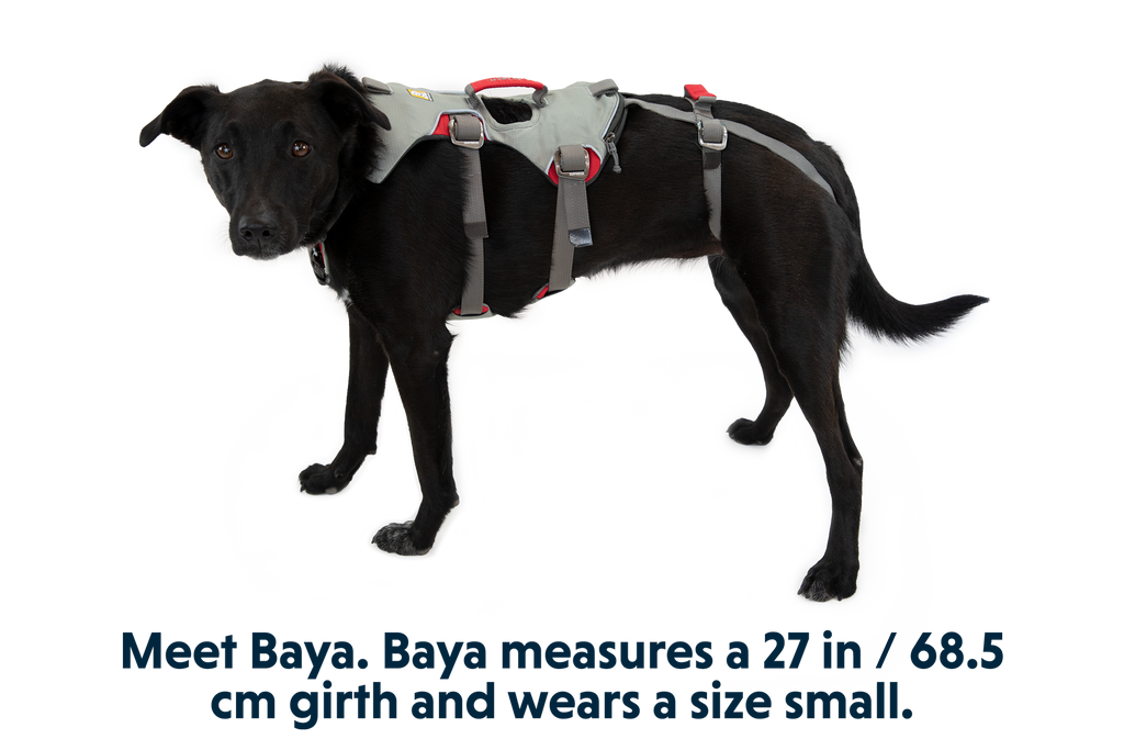 Outdoor Doubleback Full Body Dog Harness