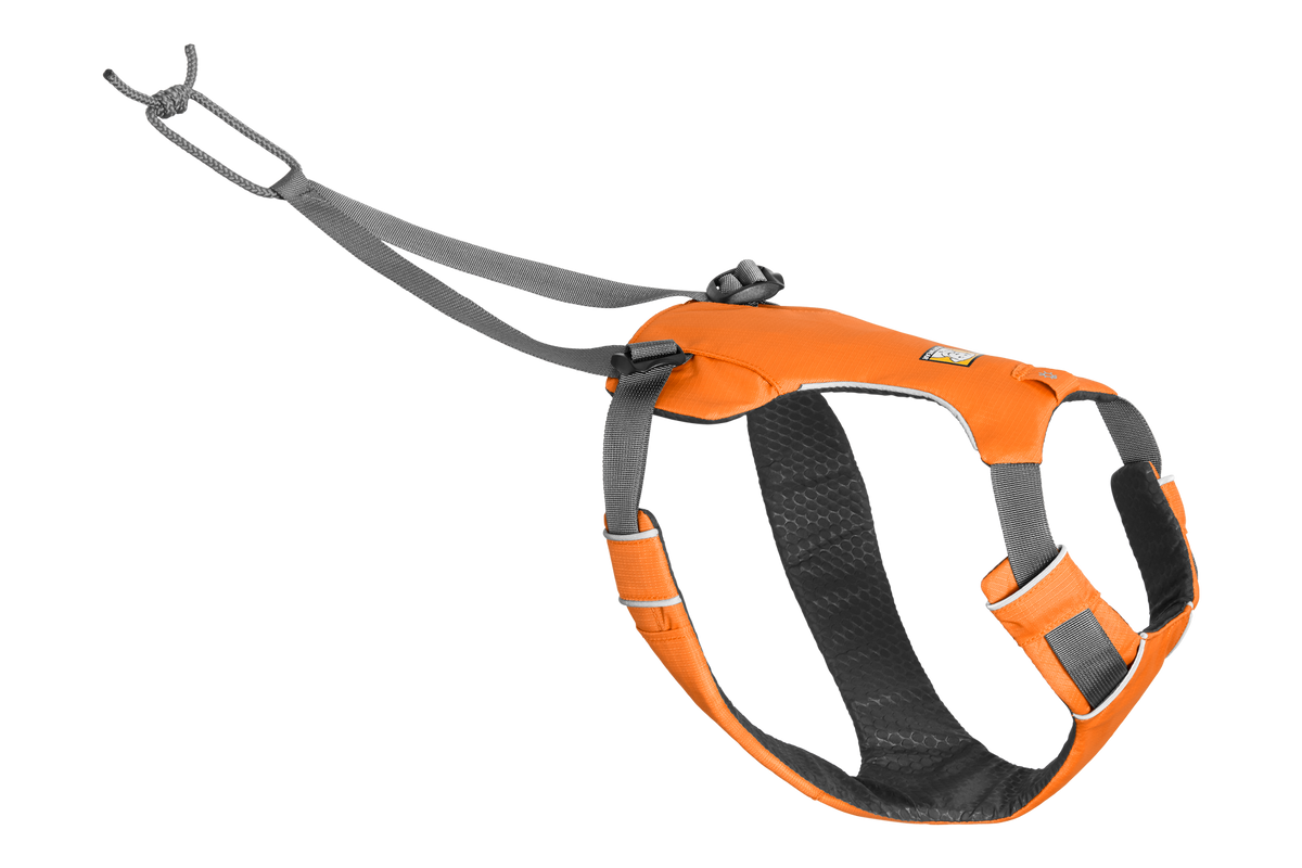 Outdoor Omnijore Dog Joring System