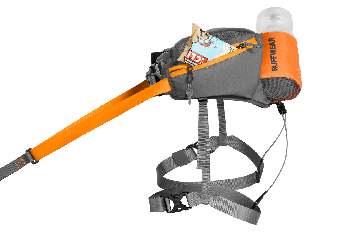 Outdoor Omnijore Dog Joring System