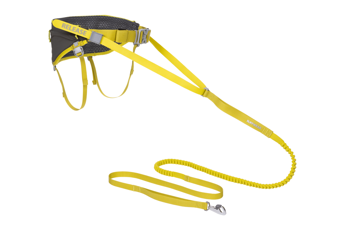Outdoor Omnijore Dog Joring System