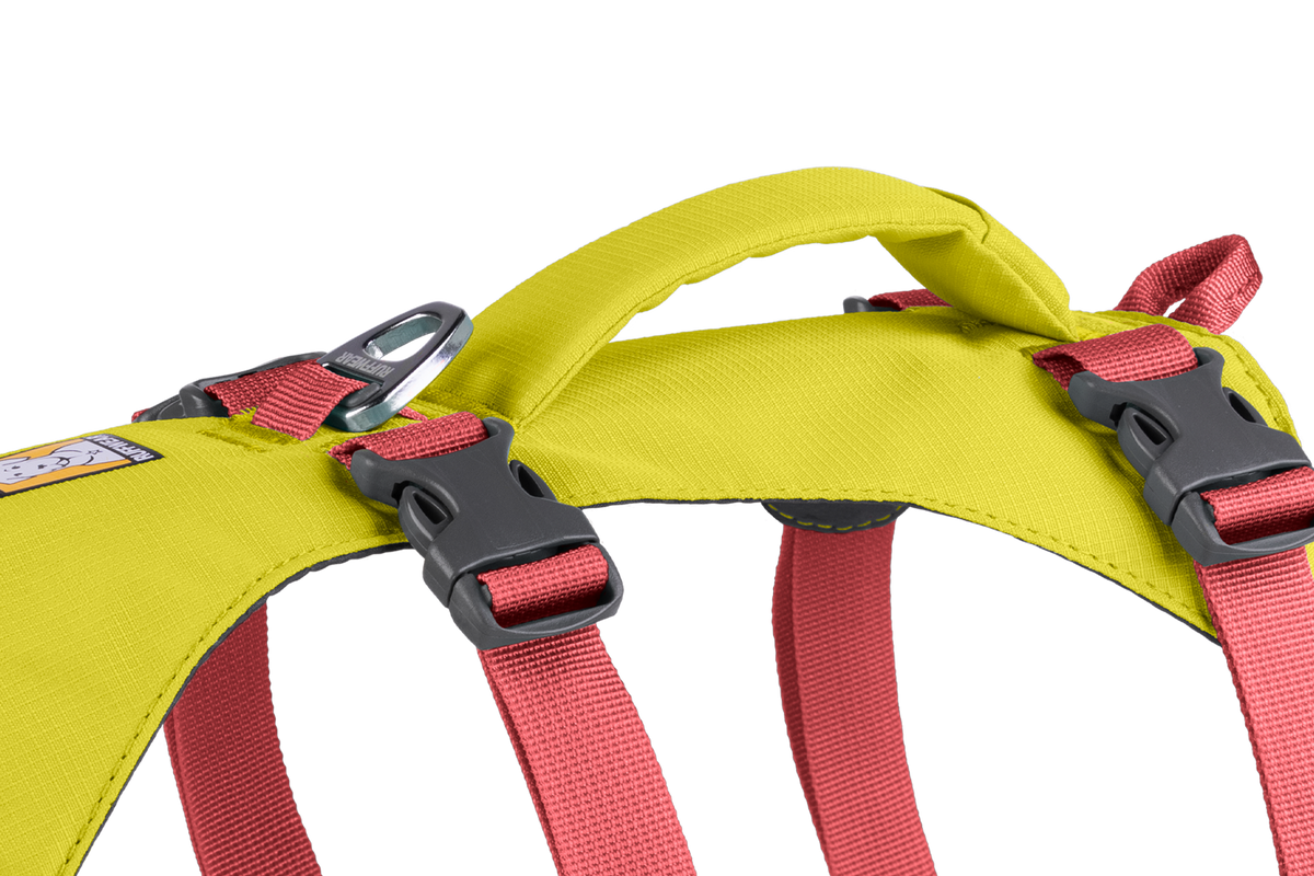 Outdoor Flagline Dog Harness with Handle