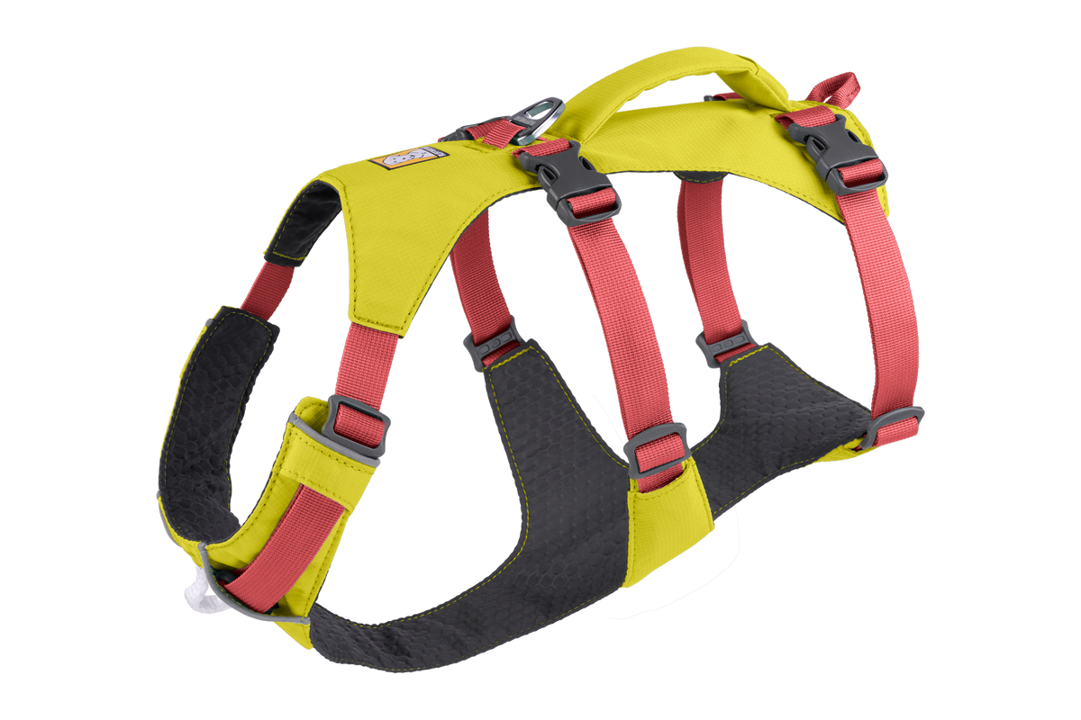 Outdoor Flagline Dog Harness with Handle