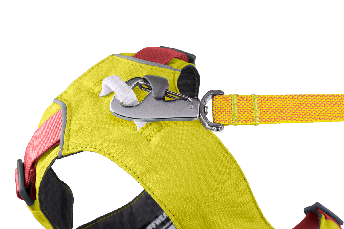 Outdoor Flagline Dog Harness with Handle