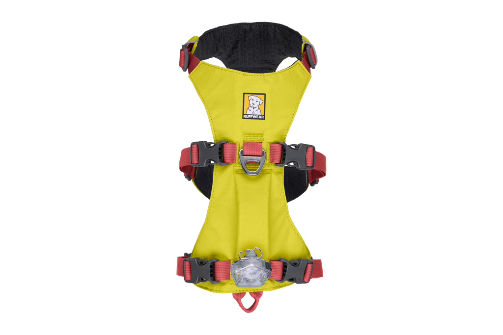 Outdoor Flagline Dog Harness with Handle