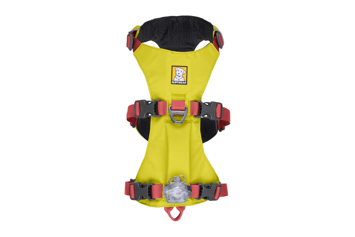 Outdoor Flagline Dog Harness with Handle