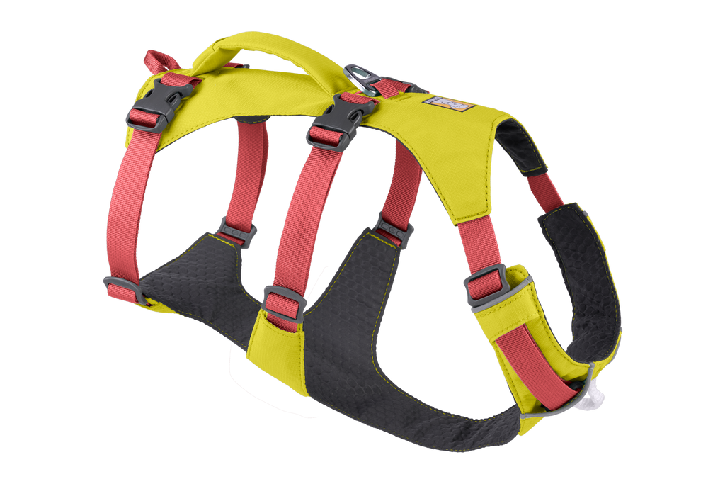 Outdoor Flagline Dog Harness with Handle