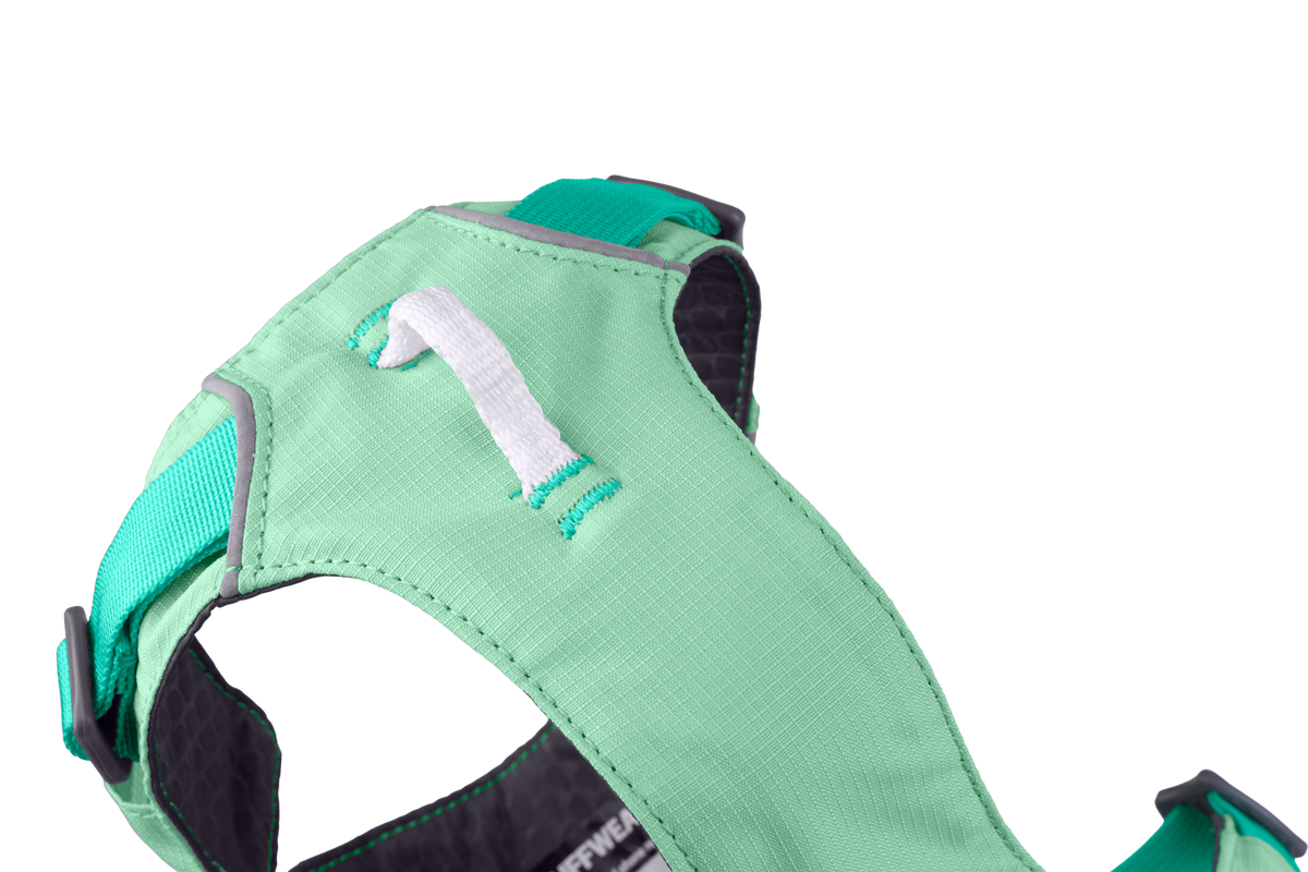 Outdoor Flagline Dog Harness with Handle