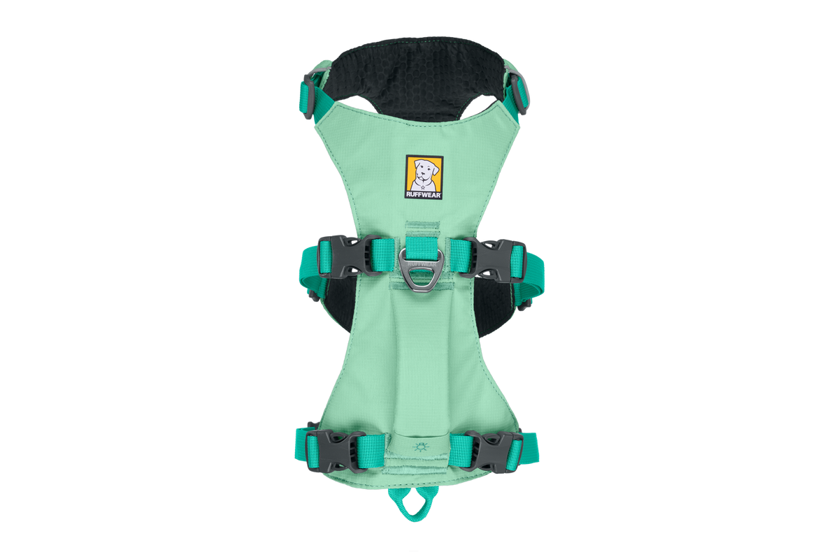 Outdoor Flagline Dog Harness with Handle