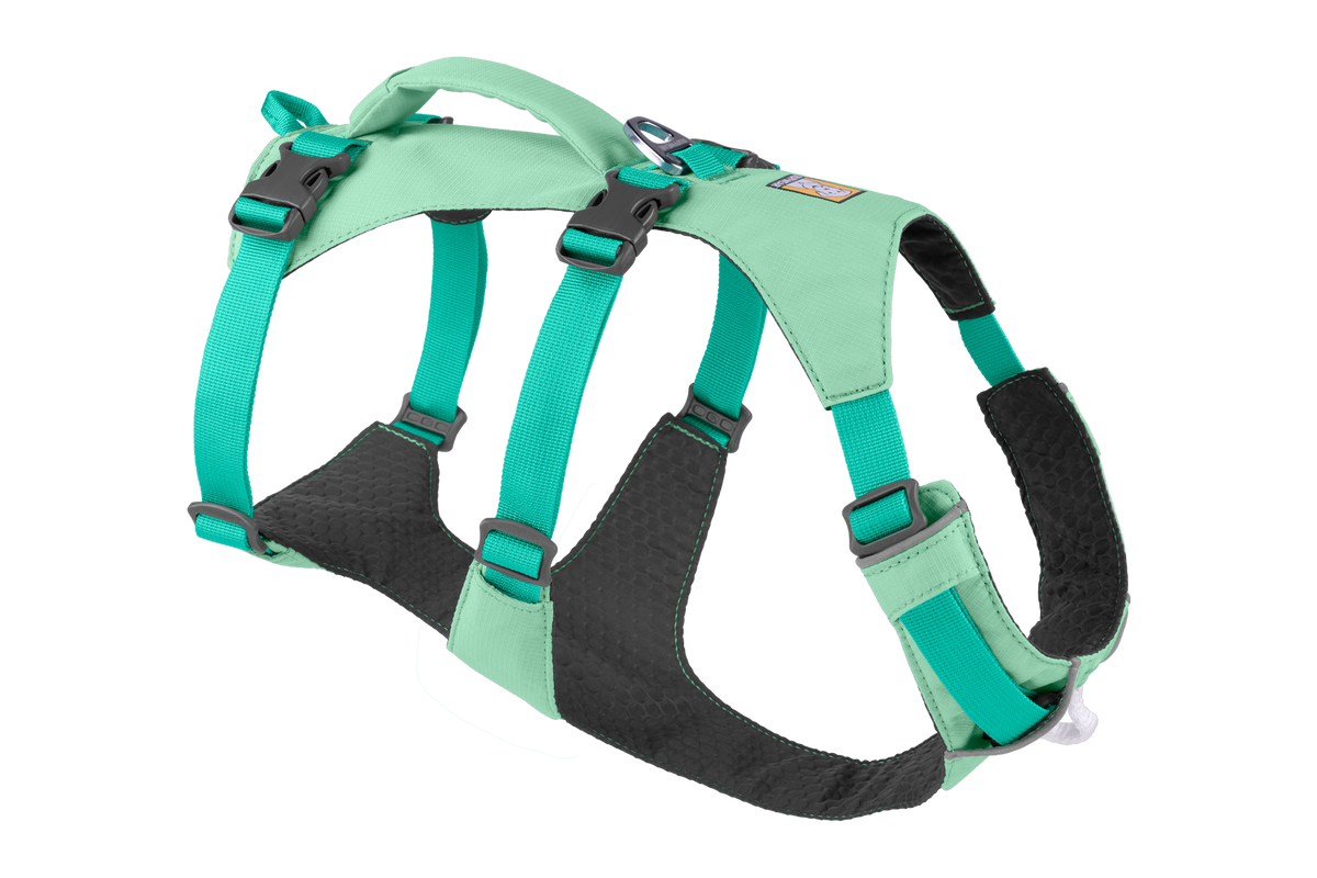 Outdoor Flagline Dog Harness with Handle