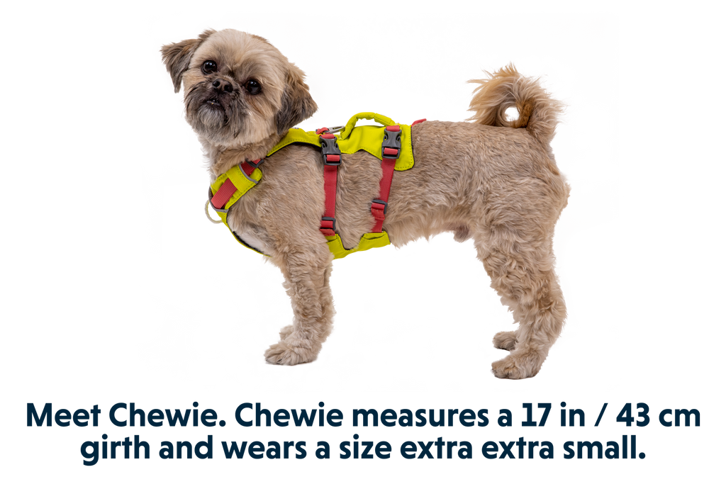 Outdoor Flagline Dog Harness with Handle