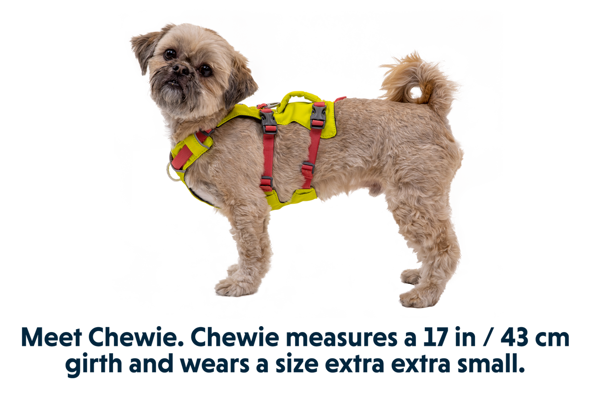 Outdoor Flagline Dog Harness with Handle