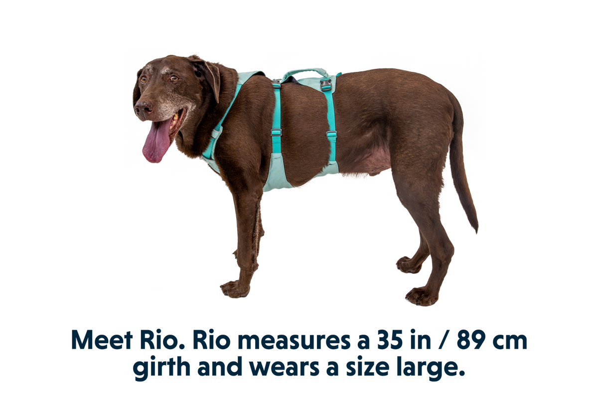 Outdoor Flagline Dog Harness with Handle