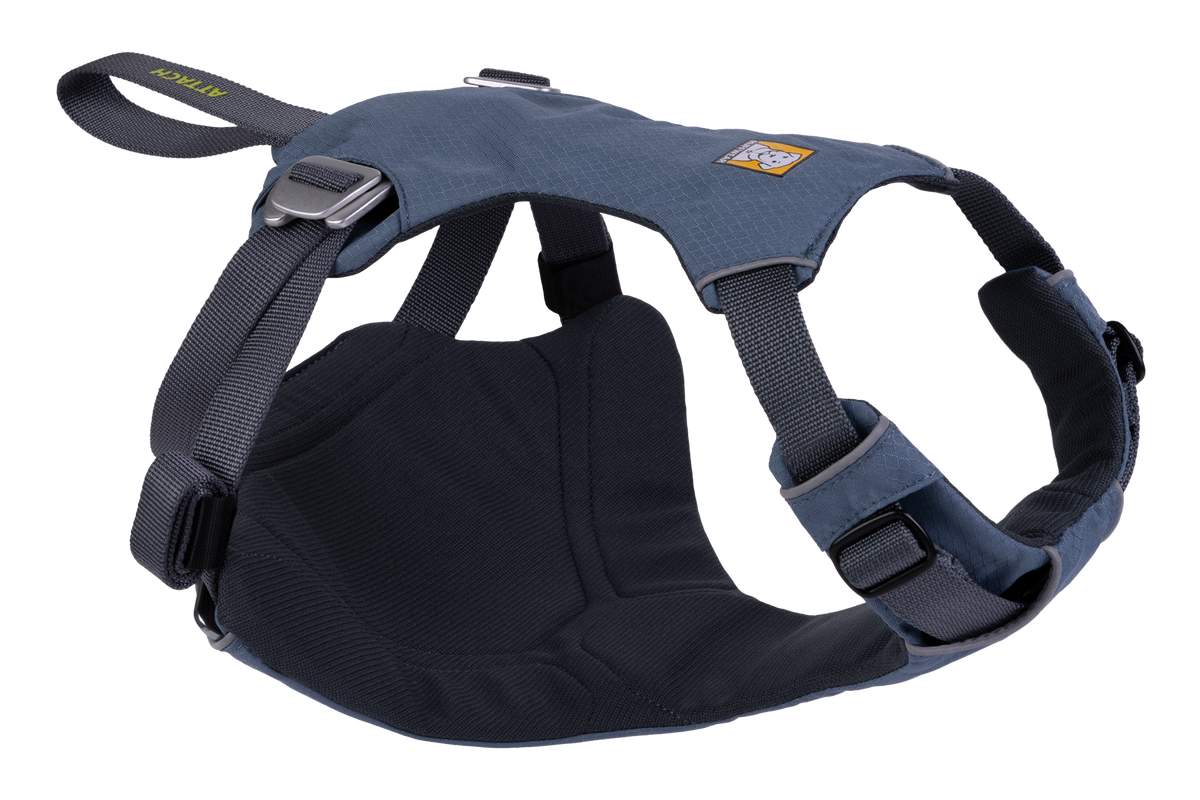 Outdoor Load Up Dog Car Harness
