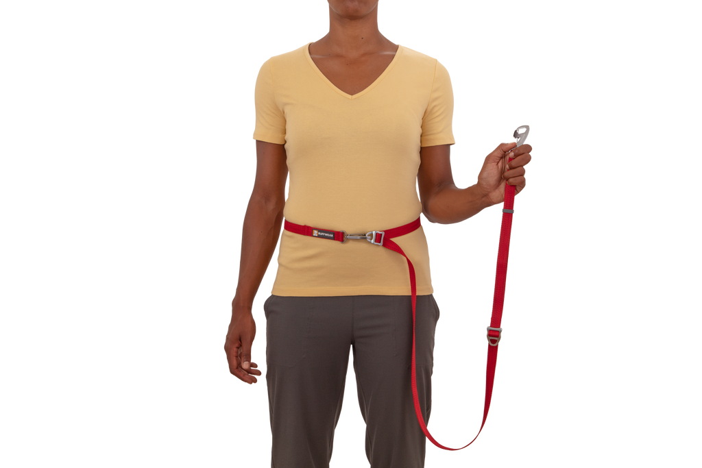 Outdoor Switchbak Multi-Function Dog Leash