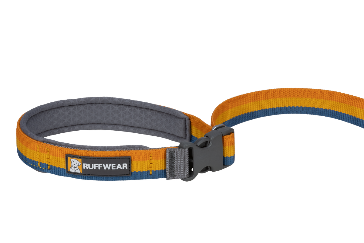 Outdoor Roamer Bungee Dog Leash