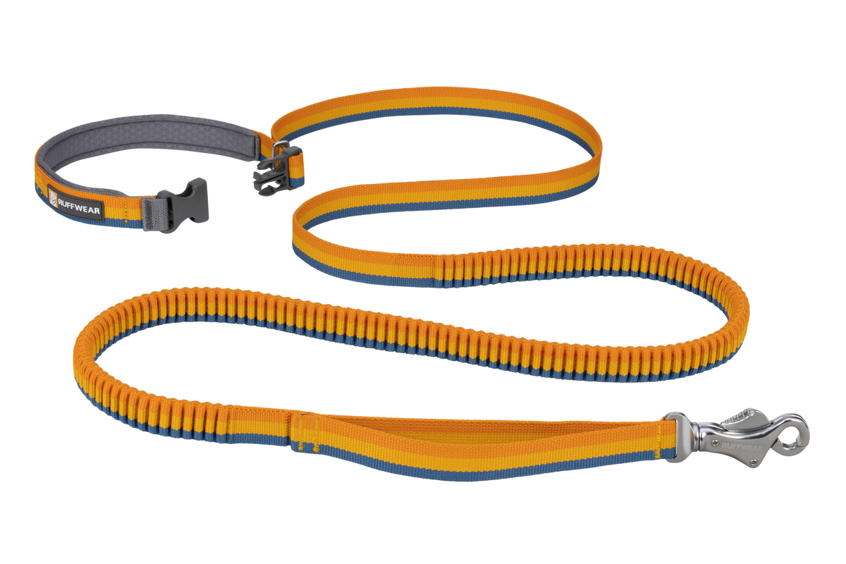 Outdoor Roamer Bungee Dog Leash
