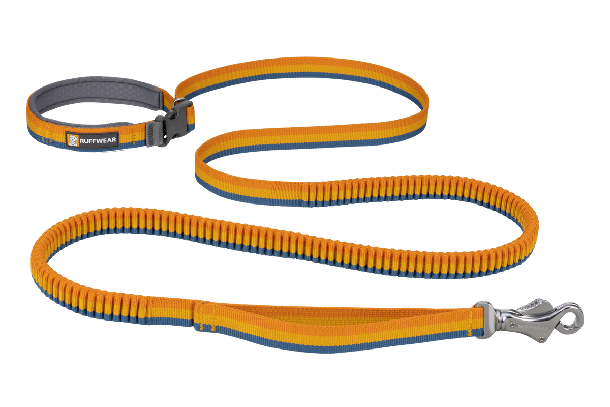 Outdoor Roamer Bungee Dog Leash