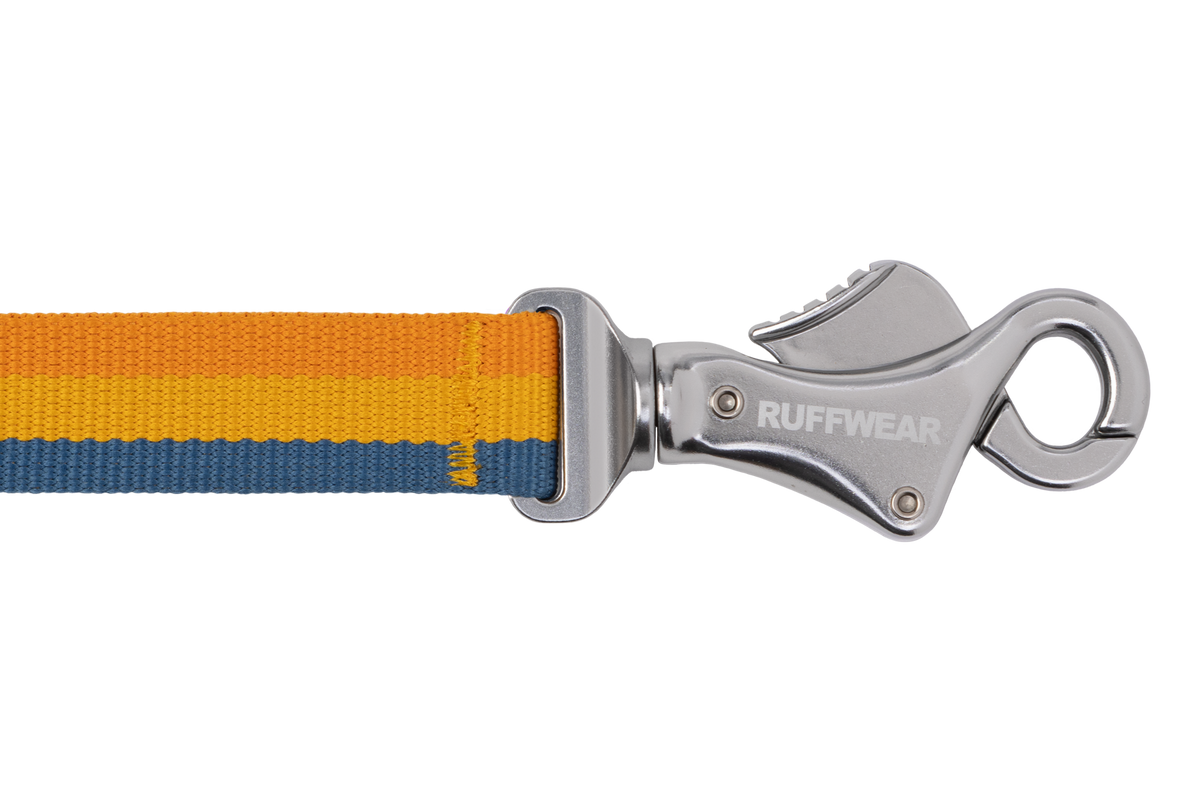 Outdoor Roamer Bungee Dog Leash