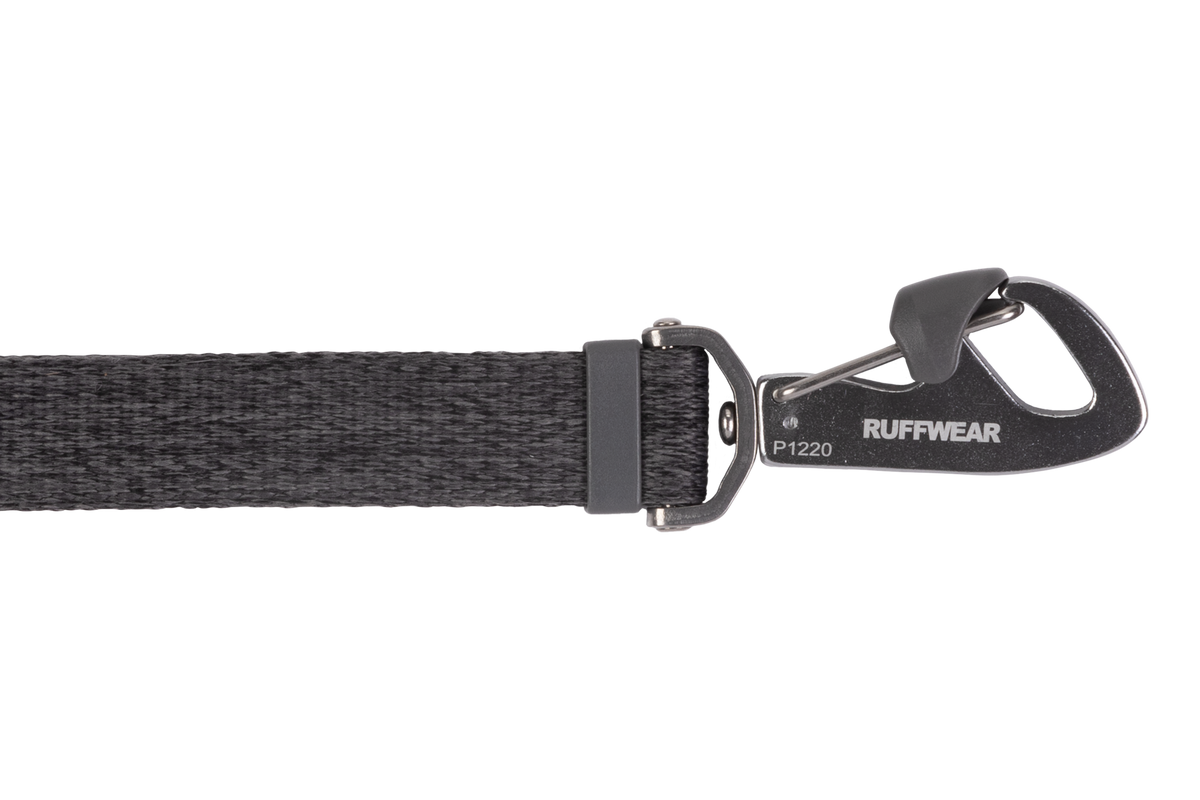 Outdoor Guide Dog Leash