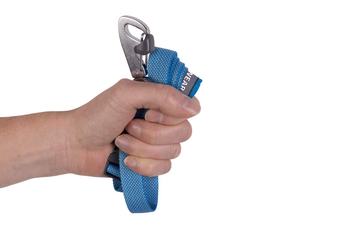 Outdoor Flagline Dog Leash