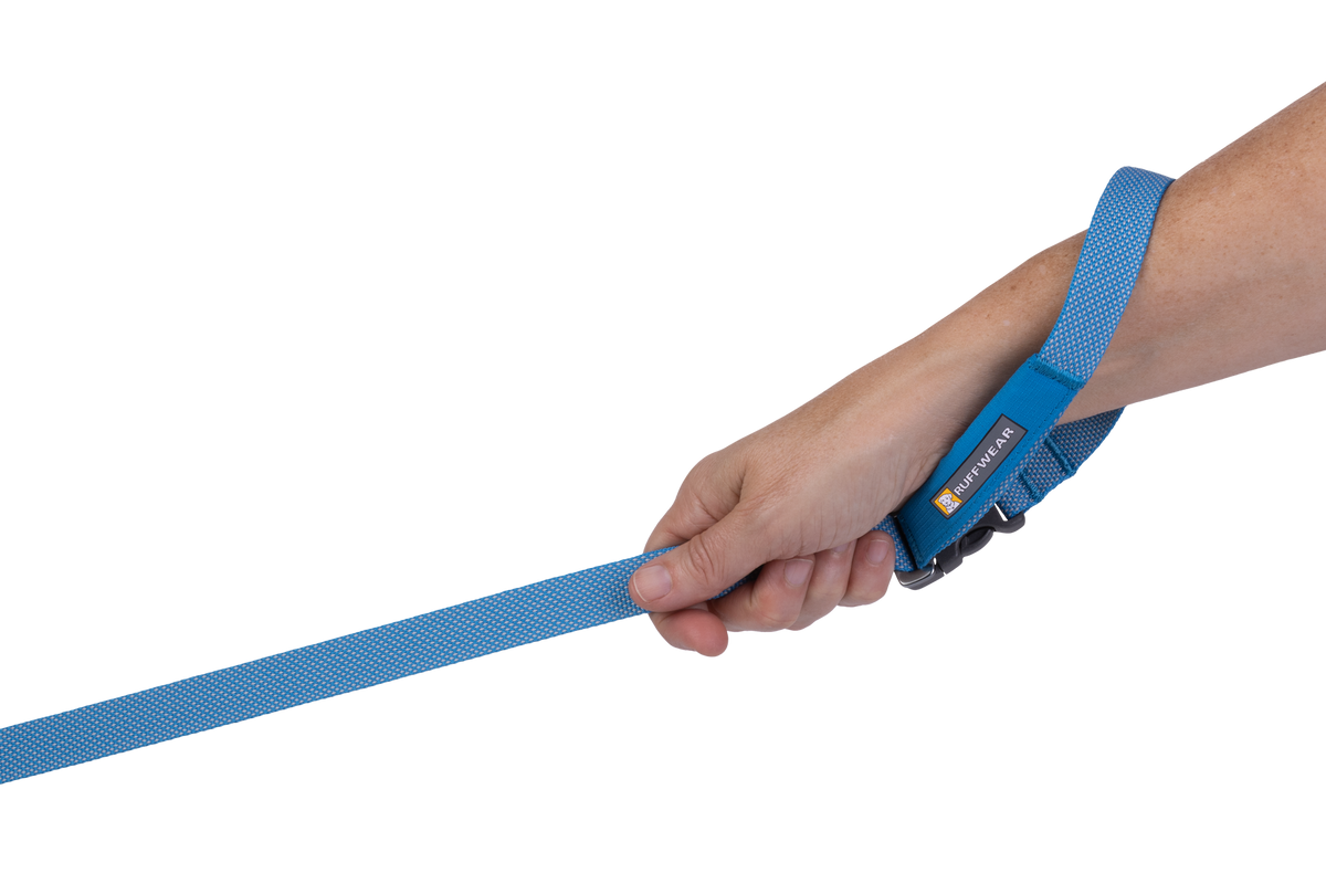 Outdoor Flagline Dog Leash