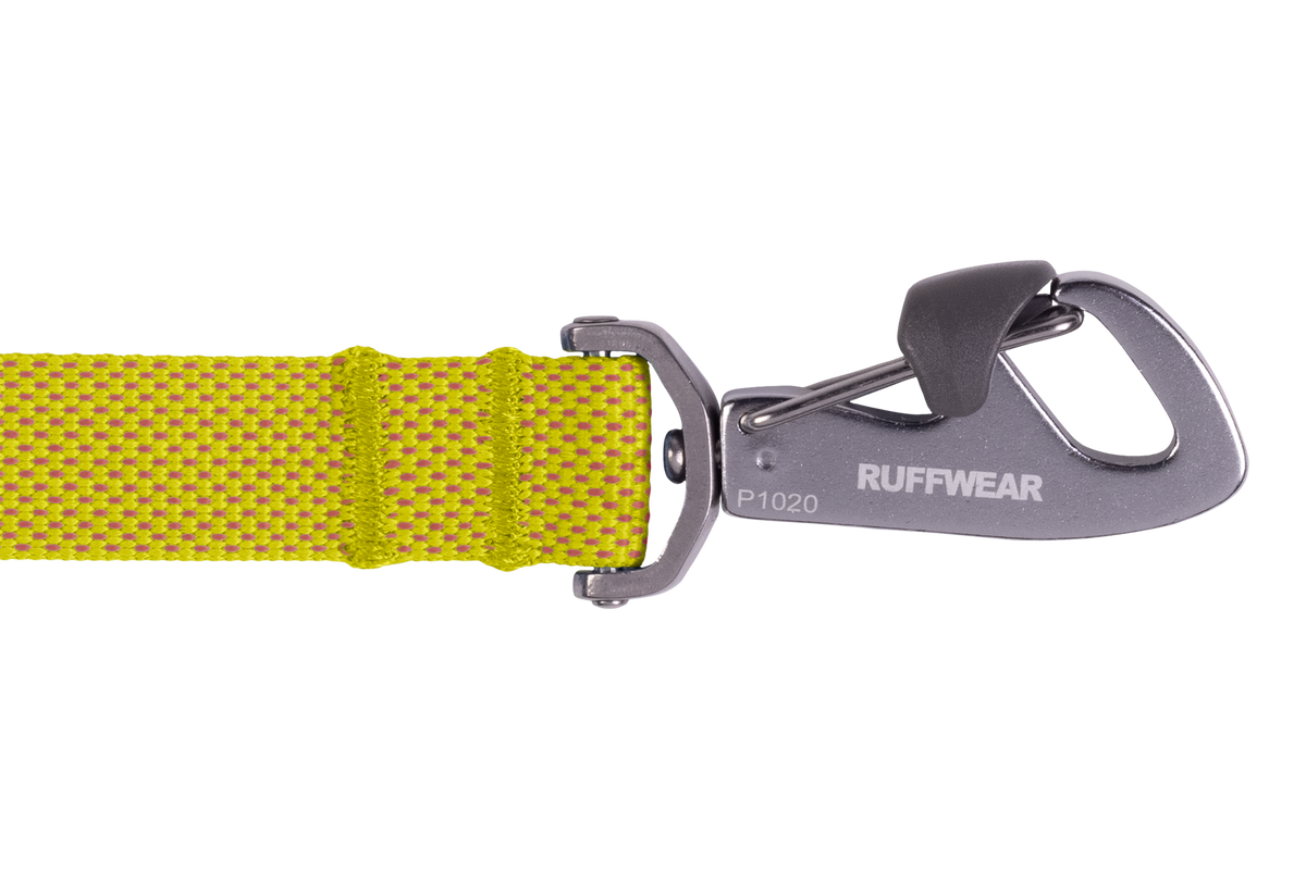 Outdoor Flagline Dog Leash