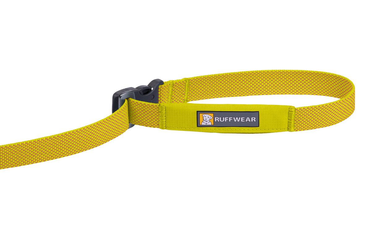 Outdoor Flagline Dog Leash