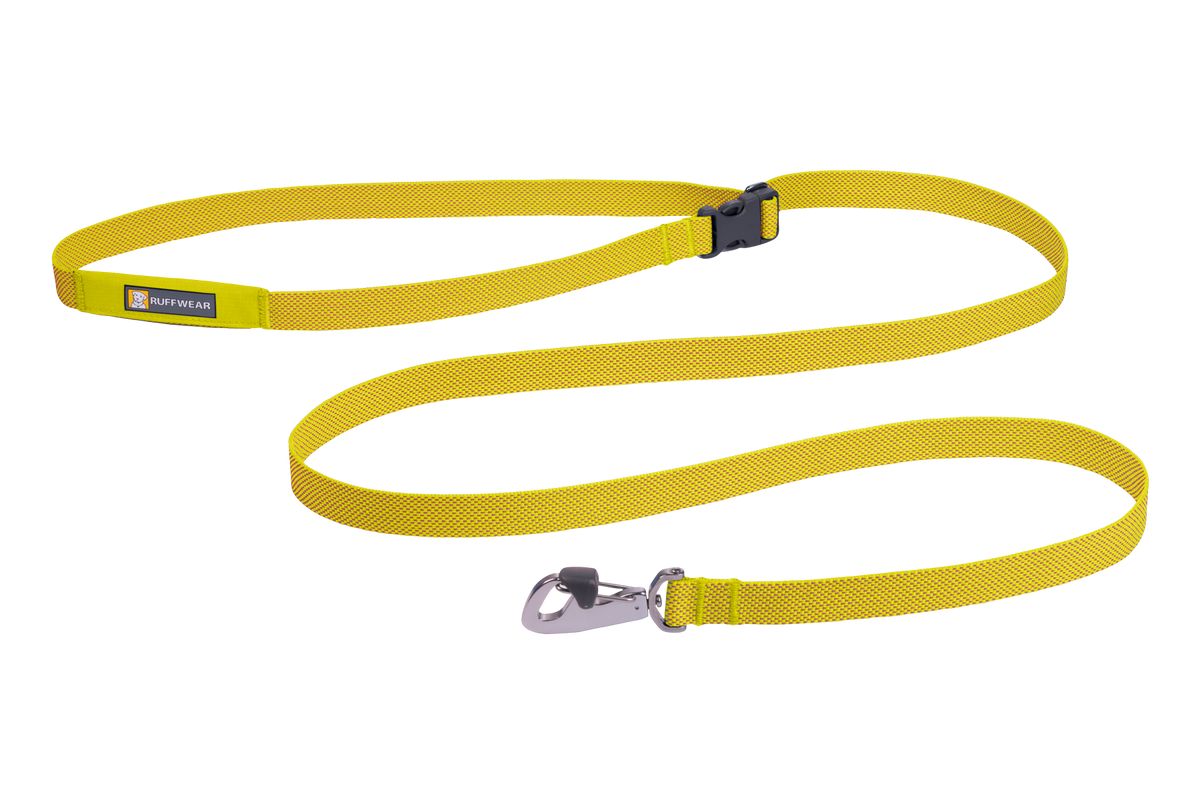 Outdoor Flagline Dog Leash