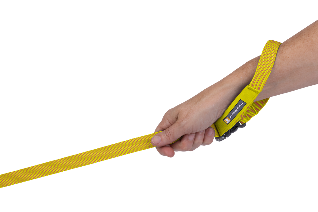 Outdoor Flagline Dog Leash