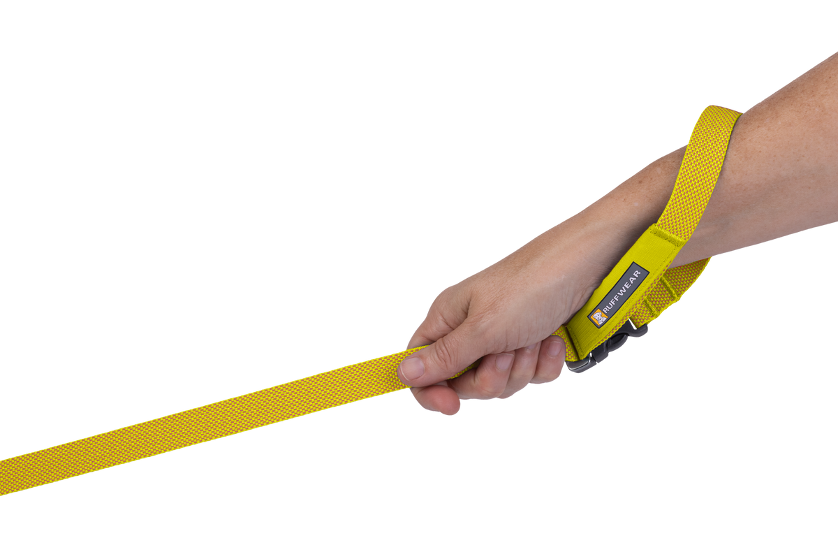 Outdoor Flagline Dog Leash