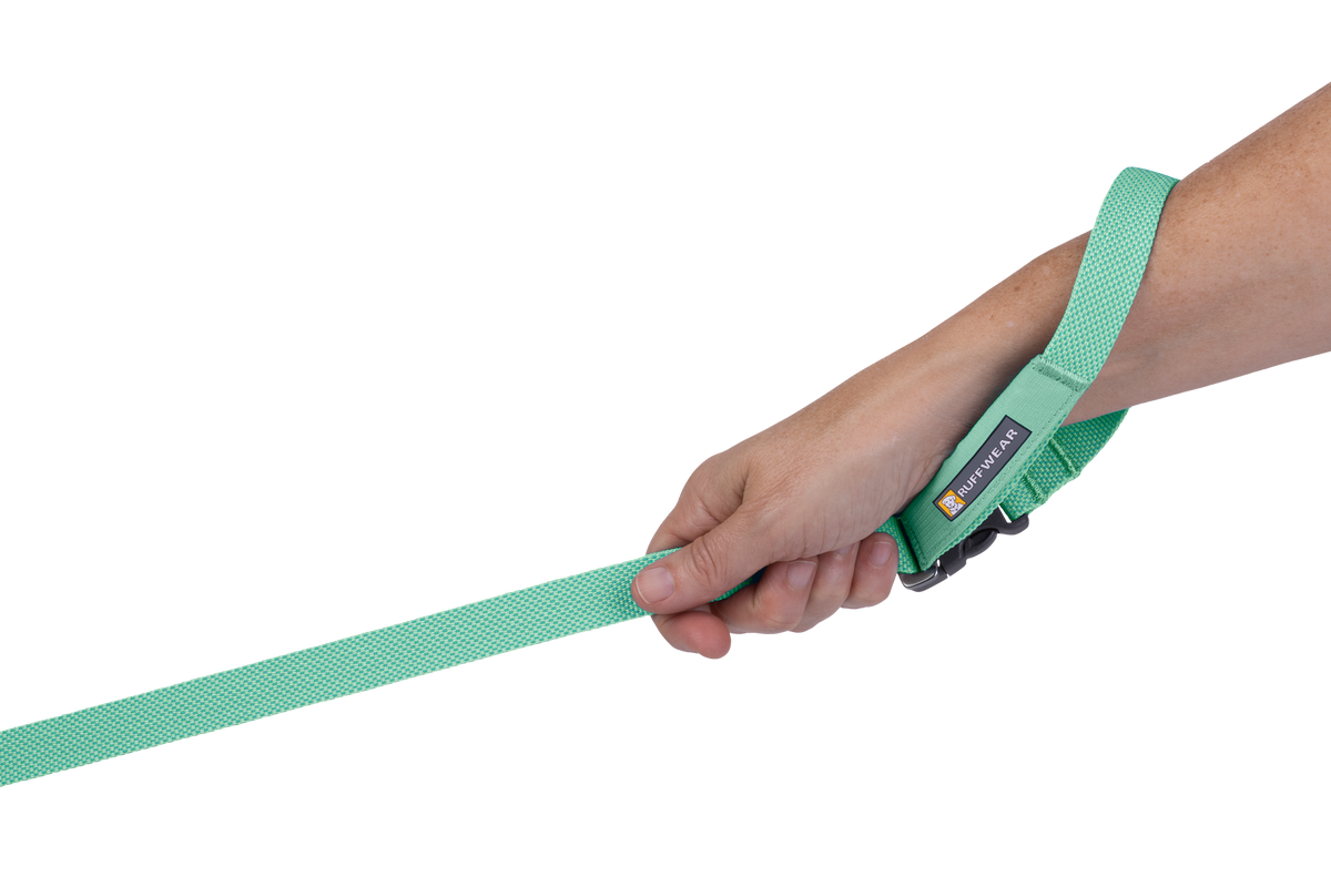 Outdoor Flagline Dog Leash