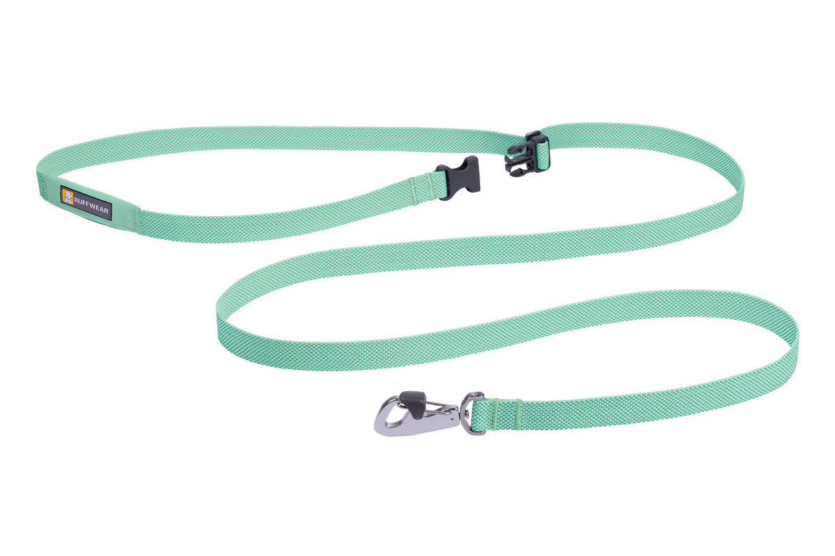Outdoor Flagline Dog Leash