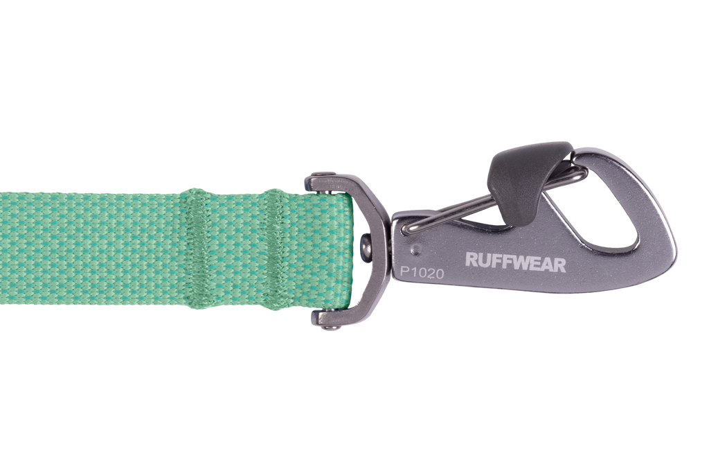Outdoor Flagline Dog Leash