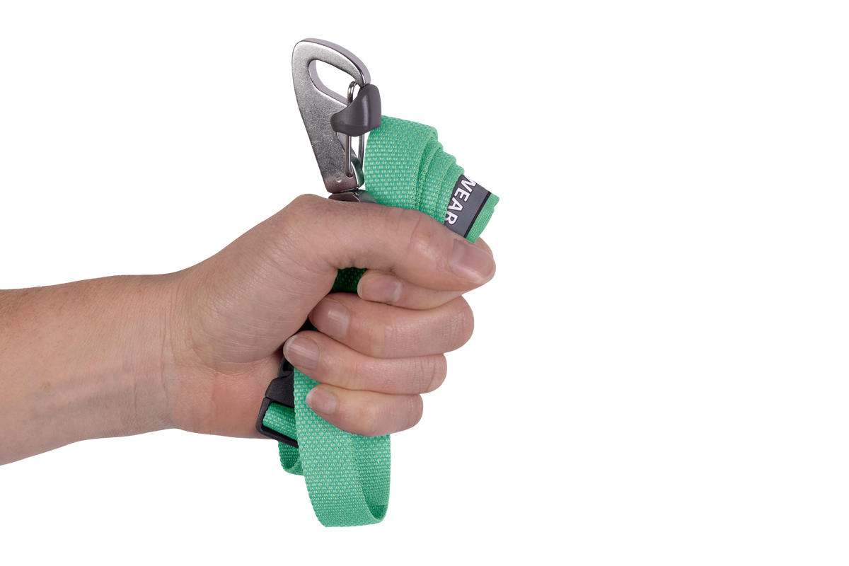 Outdoor Flagline Dog Leash