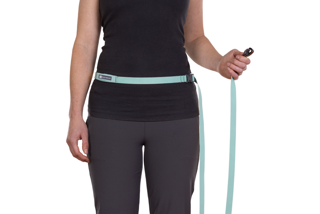 Outdoor Flagline Dog Leash