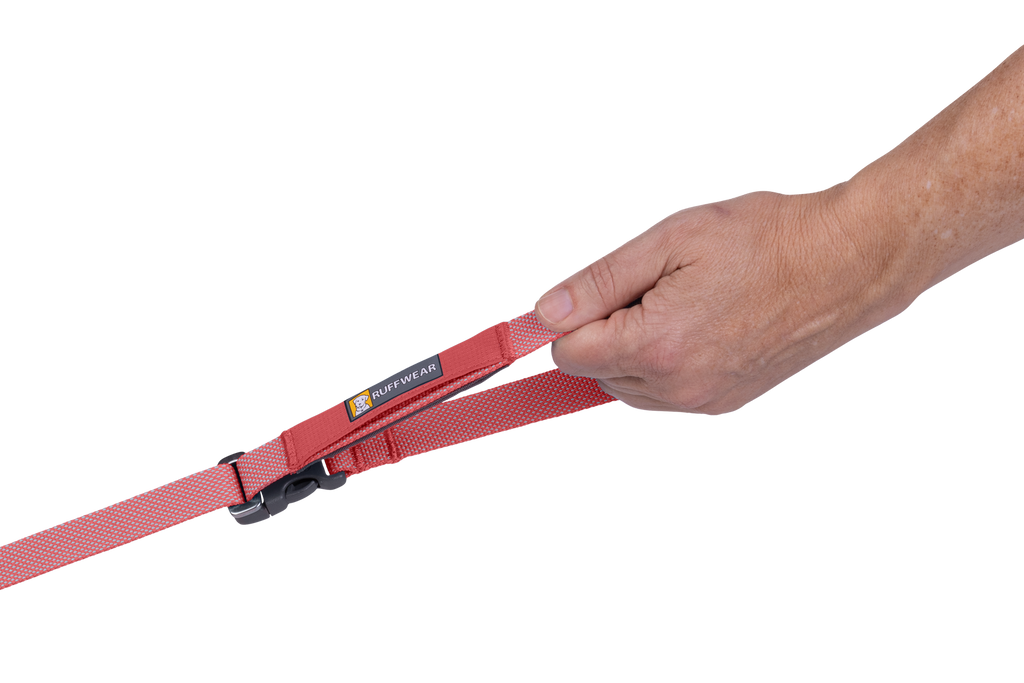 Outdoor Flagline Dog Leash