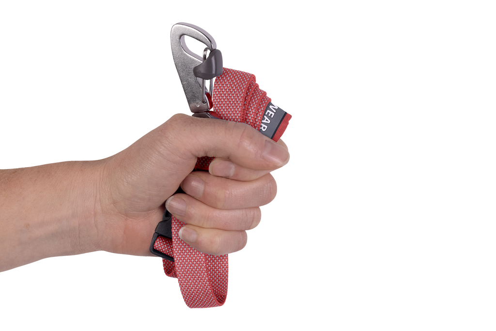 Outdoor Flagline Dog Leash